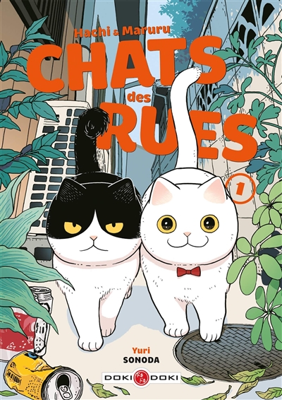HACHI & MARURU : CHATS DES RUES T1
