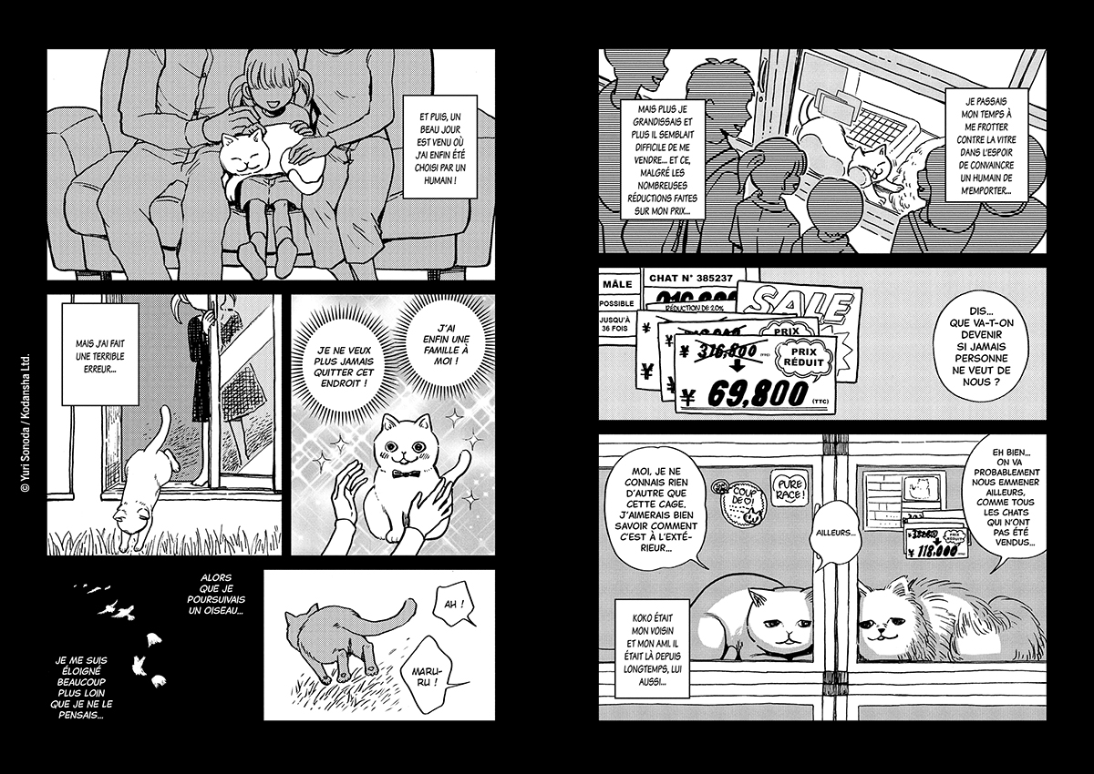 HACHI & MARURU : CHATS DES RUES T1