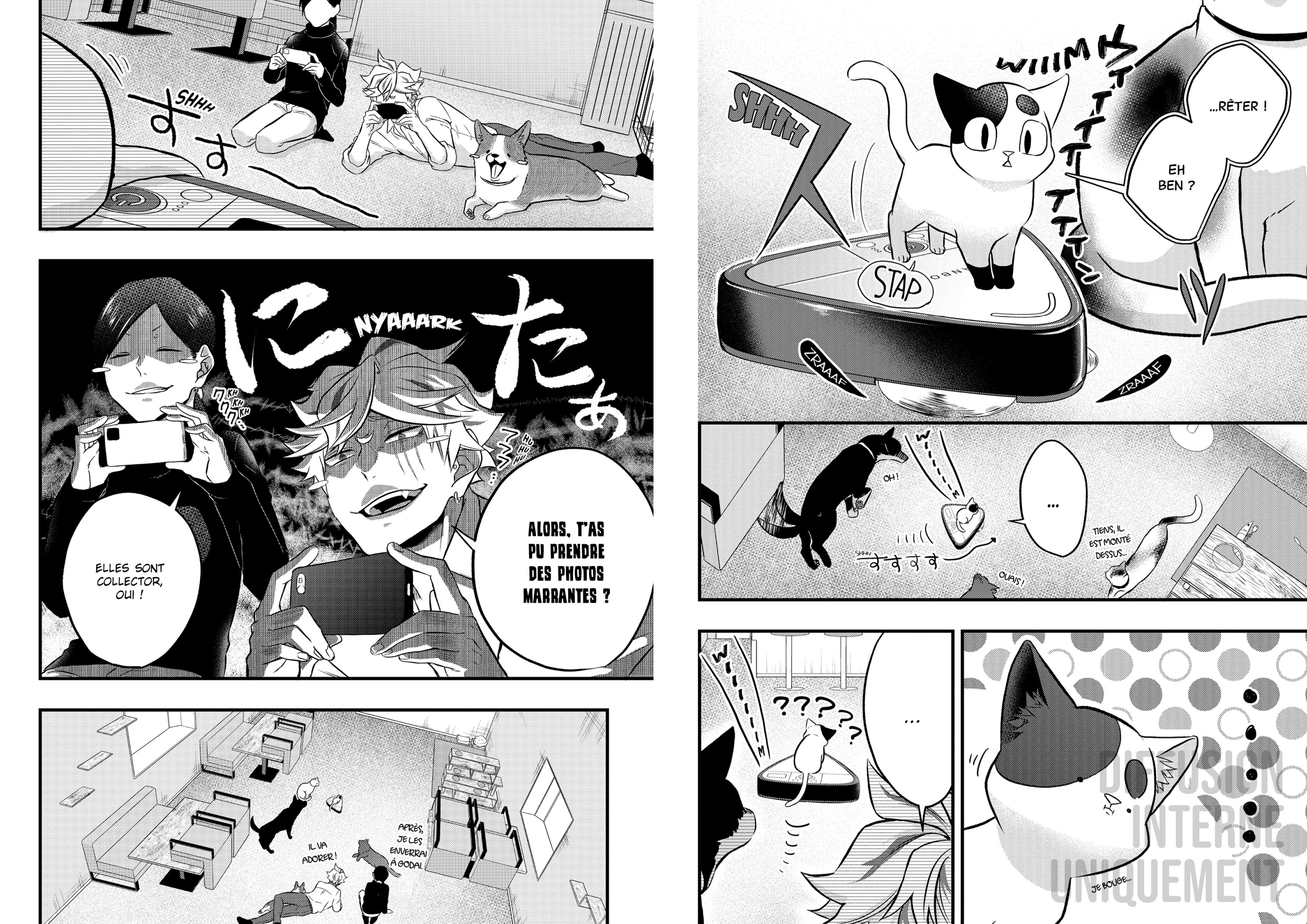 CHAT DE YAKUZA T4