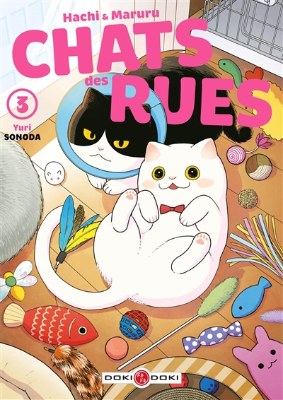 HACHI & MARURU : CHATS DES RUES T3 HACHI & MARURU : CHATS DES RUES T3