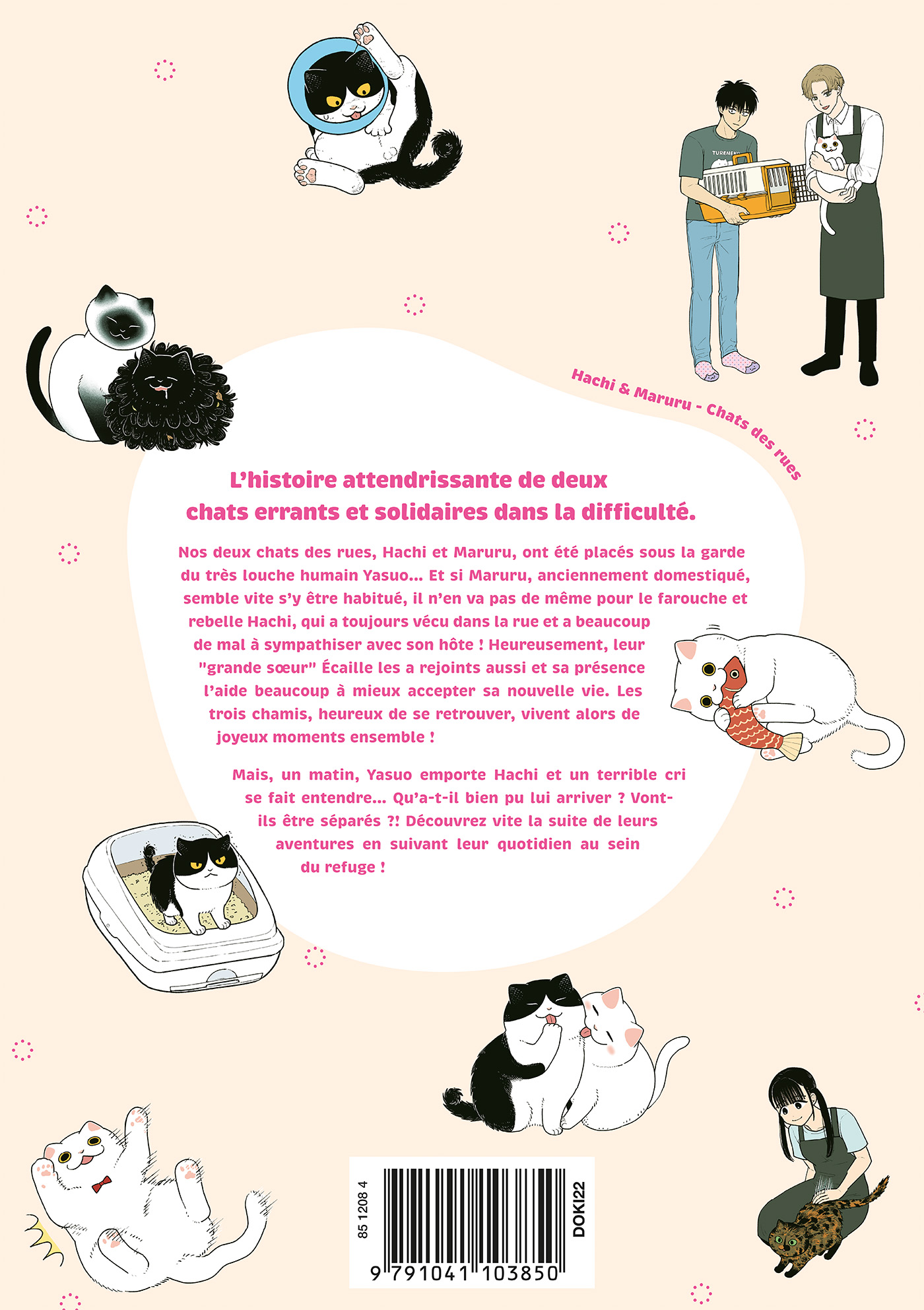 HACHI & MARURU : CHATS DES RUES T3 HACHI & MARURU : CHATS DES RUES T3