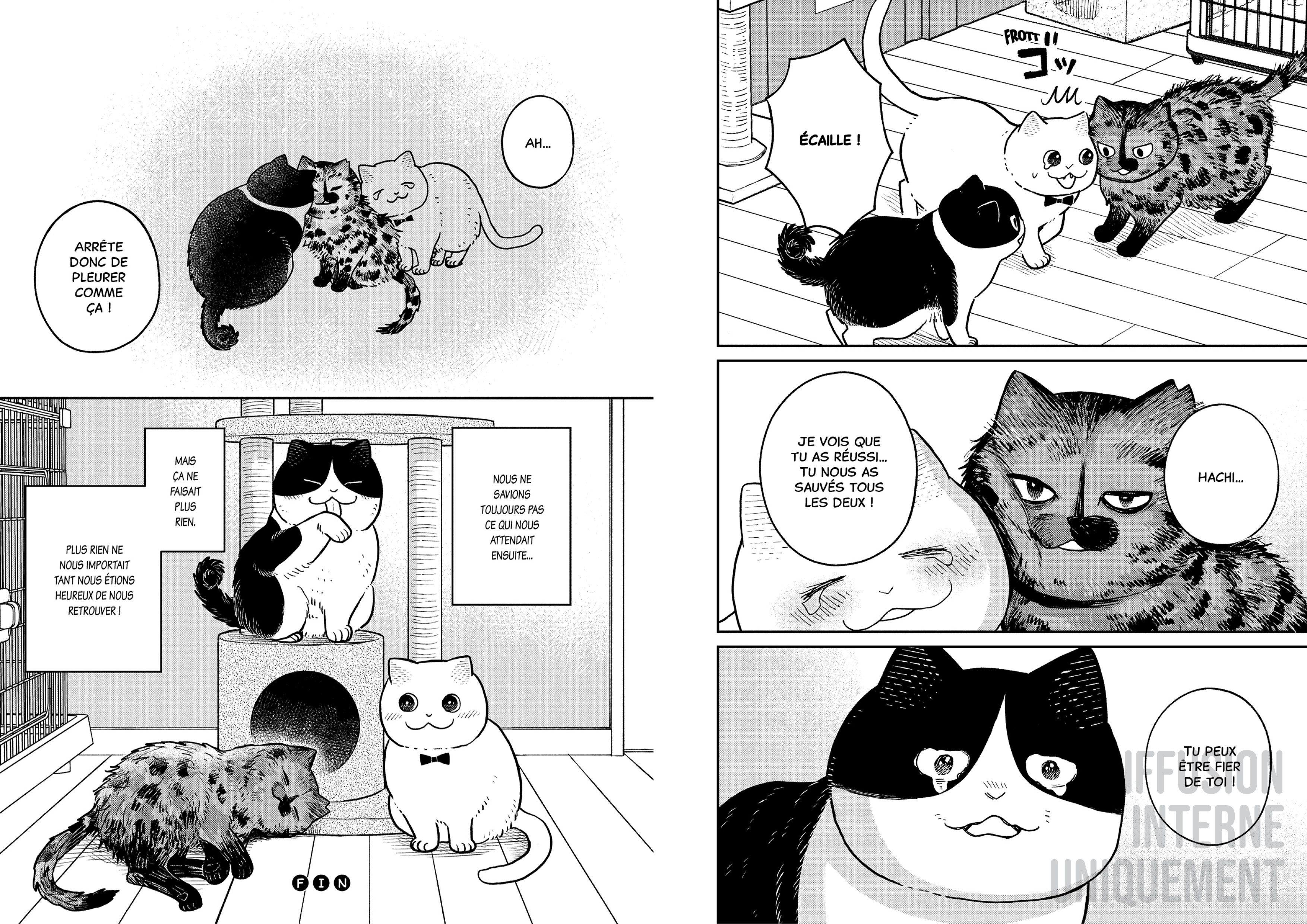 HACHI & MARURU : CHATS DES RUES T3 HACHI & MARURU : CHATS DES RUES T3