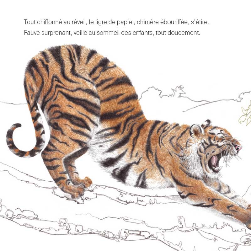 LA COMPTINE DU TOUCAN