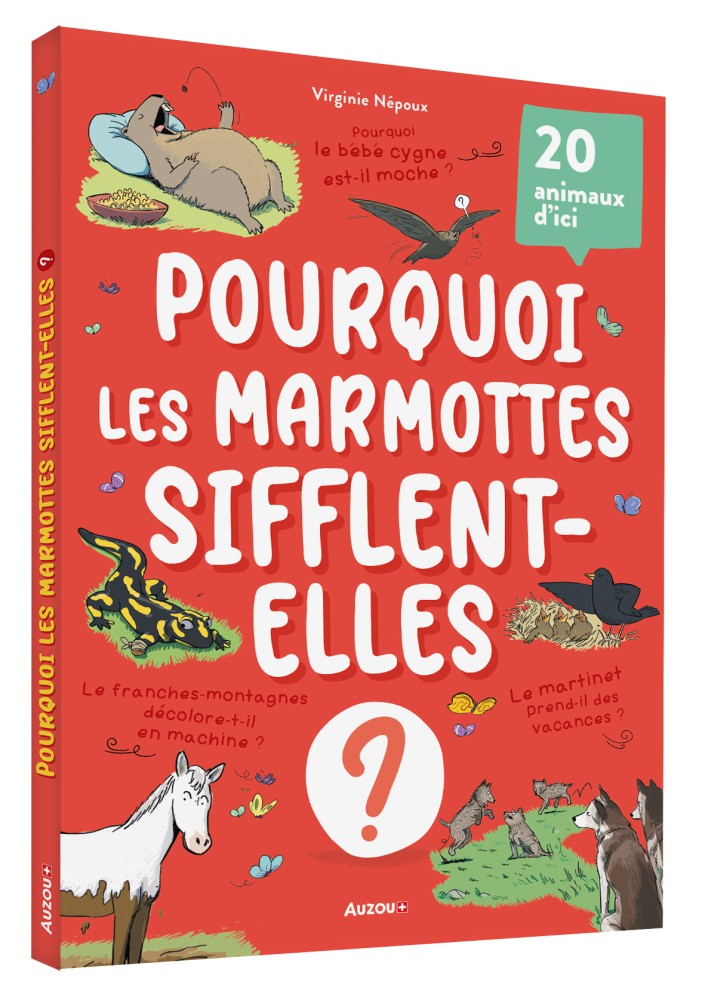 Pourquoi Les Marmottes Sifflent-Elles?