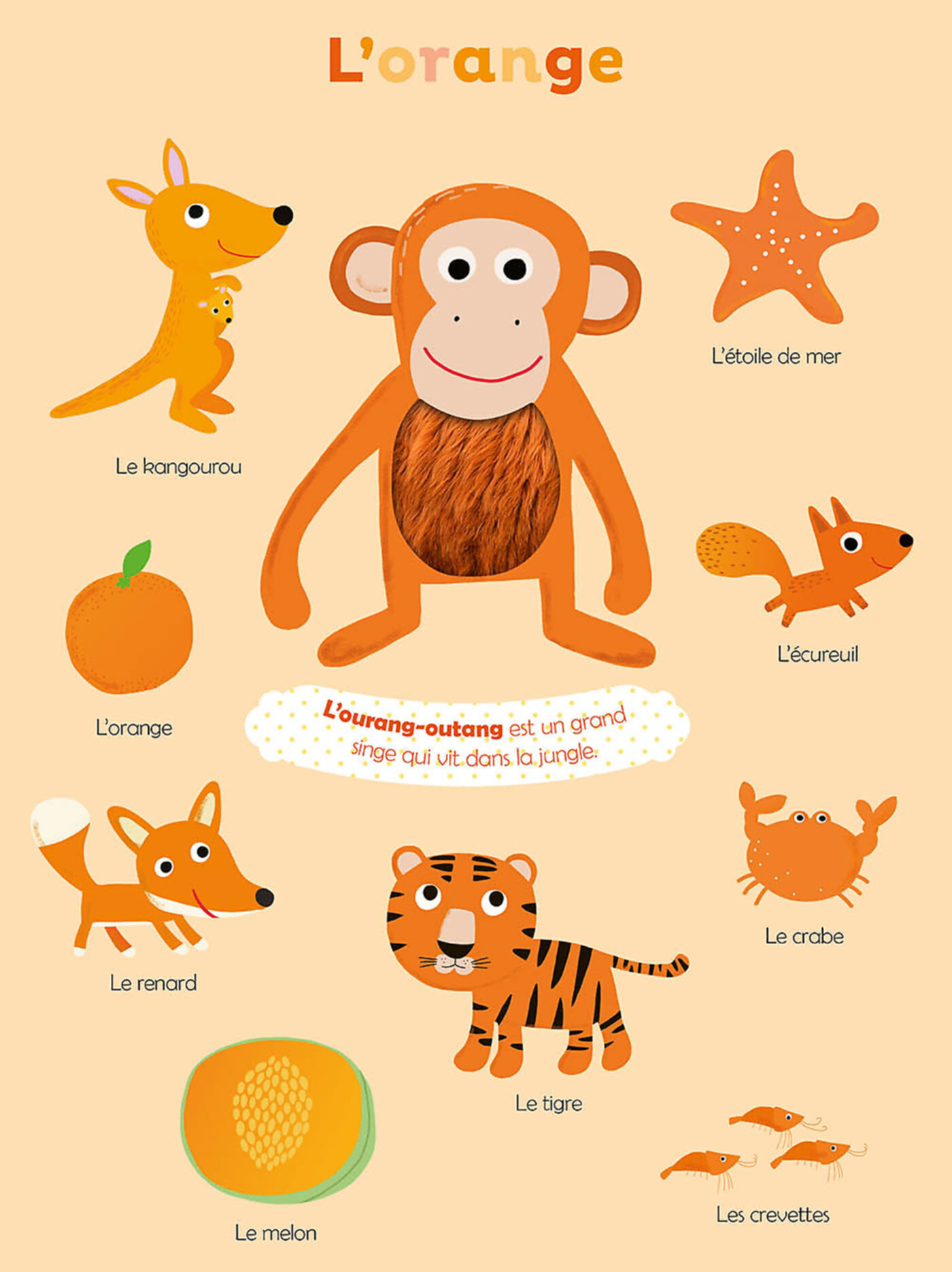 Mes Premières Couleurs À Toucher