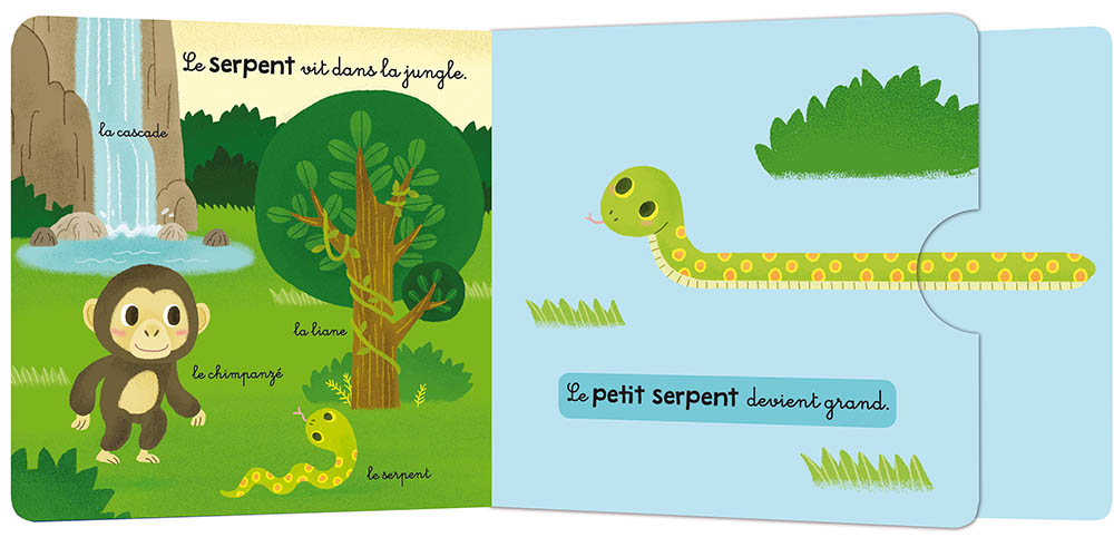 Mon Anim'agier - Les Bebes Animaux