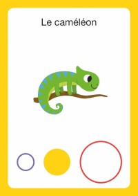 Jeu De Cartes - Mon Premier Jeu De Bataille - Animaux Du Monde