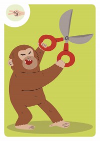 Jeux De Cartes - Jeu De Tok Tok Monkey - Logique Et Rapidité !