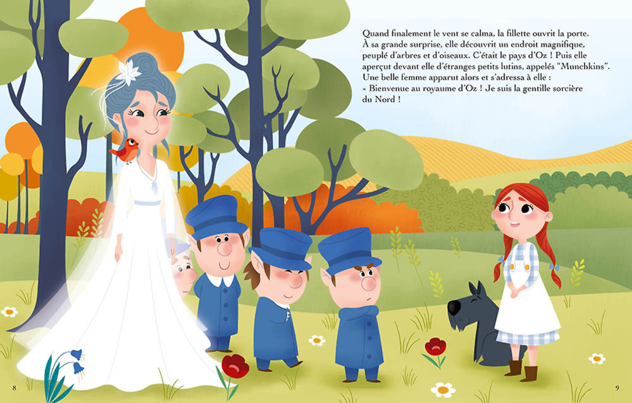 Le Magicien D'oz + Cd