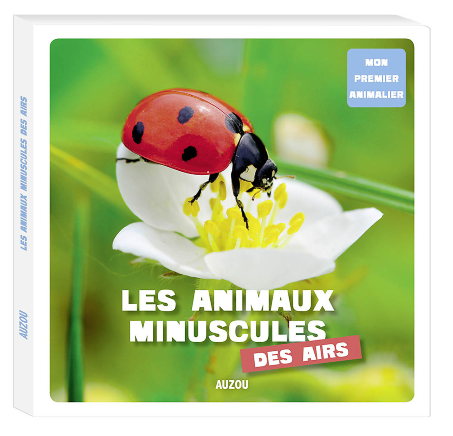 Mon Premier Doc Photo  - Les Animaux Minuscules Des Airs