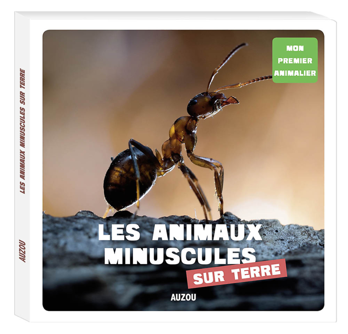 Mon Premier Doc Photo  - Les Animaux Minuscules De La Terre