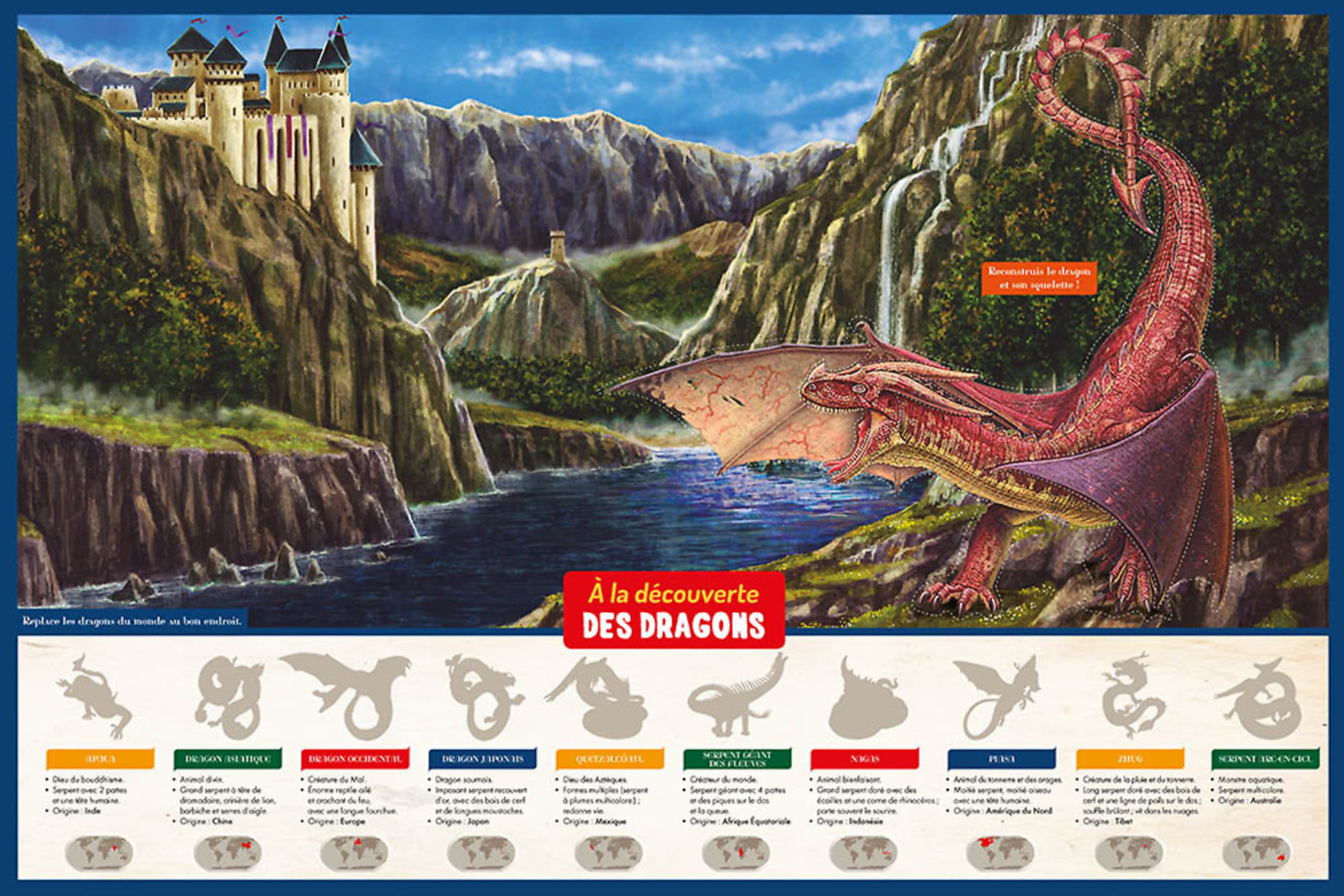 À La Découverte Des Dragons