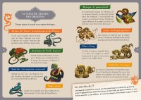 À La Découverte Des Dragons