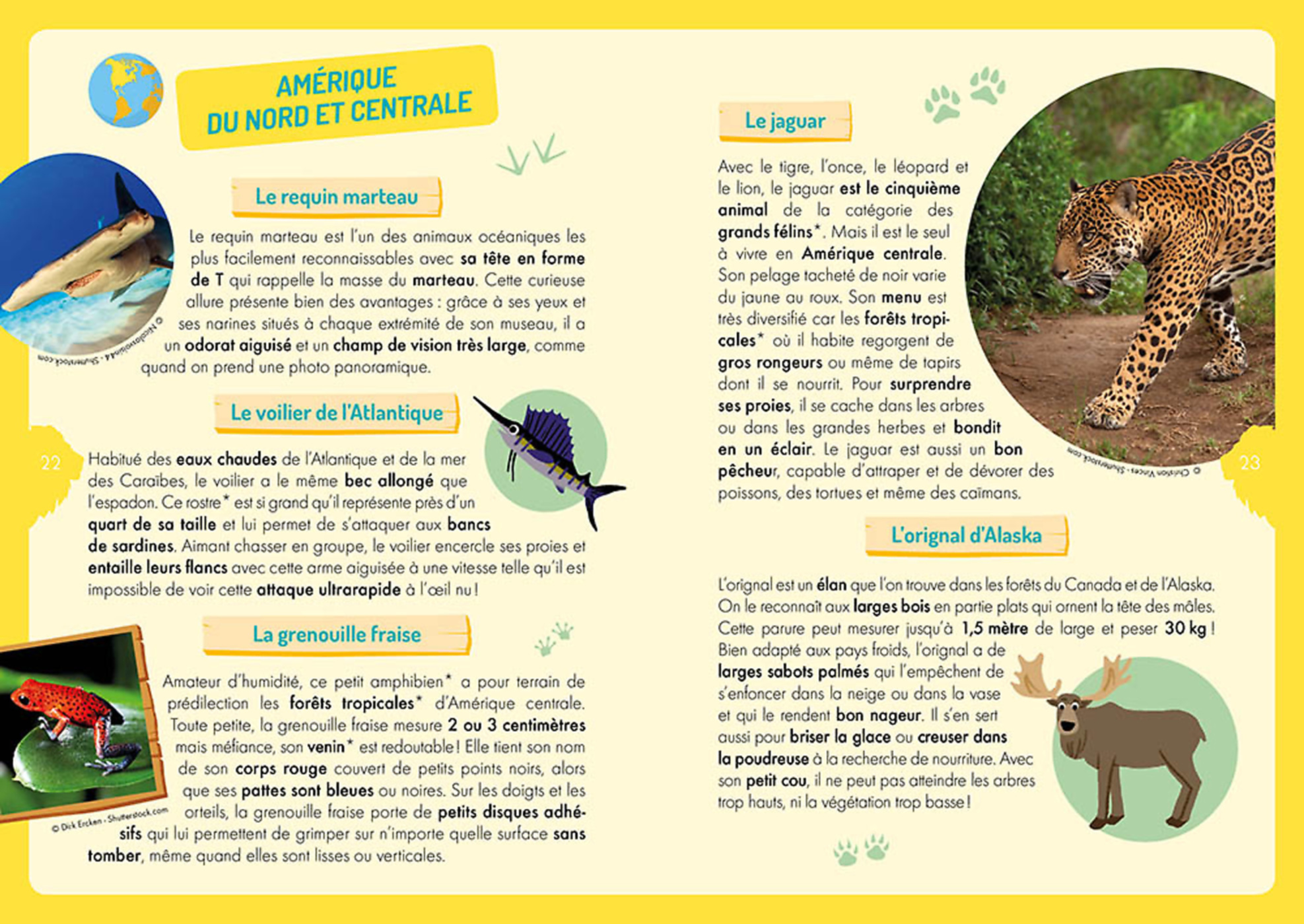 À La Découverte Des Animaux Du Monde À La Découverte Des Animaux Du Monde