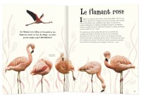 L'anthologie Illustrée Des Animaux Fascinants