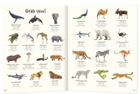 L'anthologie Illustrée Des Animaux Fascinants