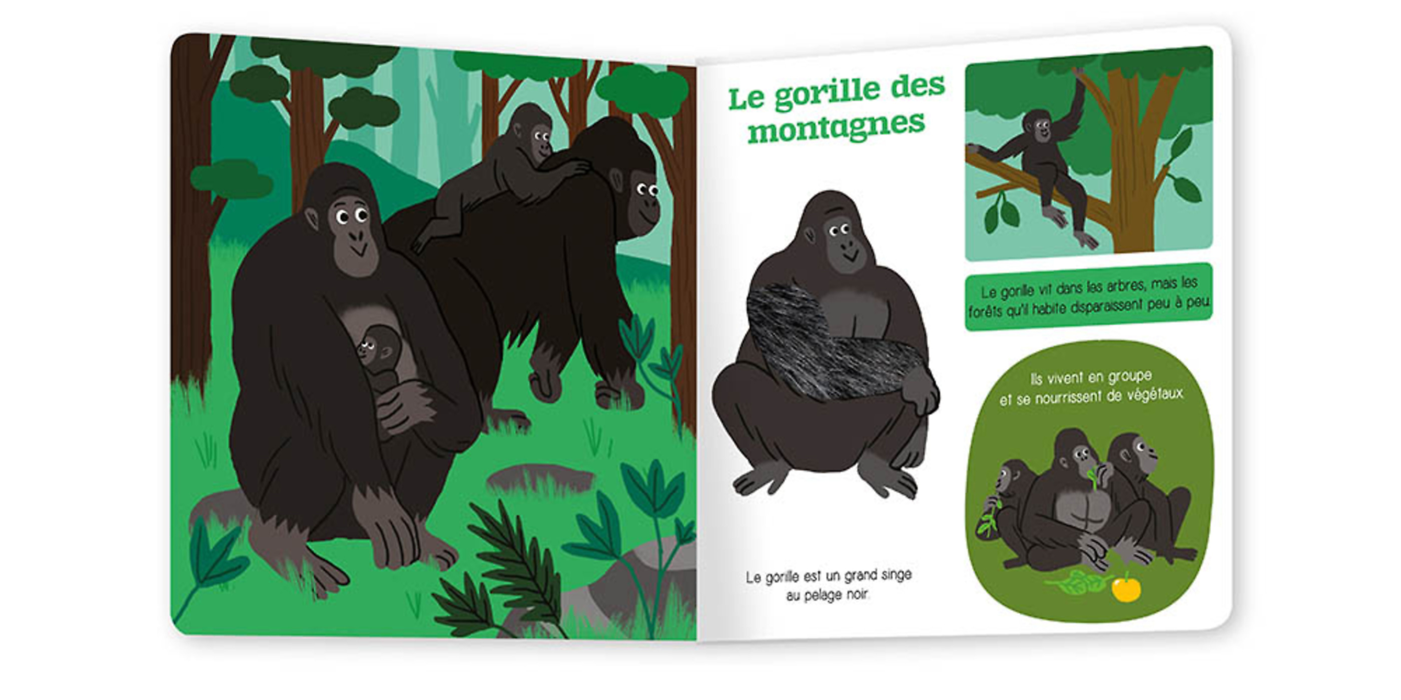 Les Animaux A Proteger