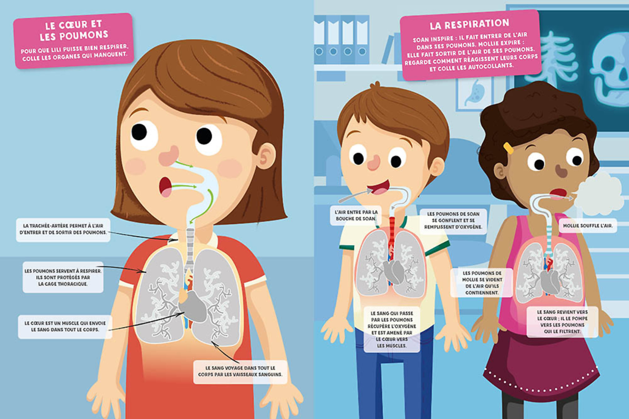 Mes Autocollants Malins Educatifs - Le Corps Humain Mes Autocollants Malins Educatifs - Le Corps Humain