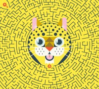 Ma Pochette De Jeux - 20 Labyrinthes Au Coeur De La Jungle