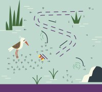 Ma Pochette De Jeux - 20 P'tits Jeux Chez Les Animaux