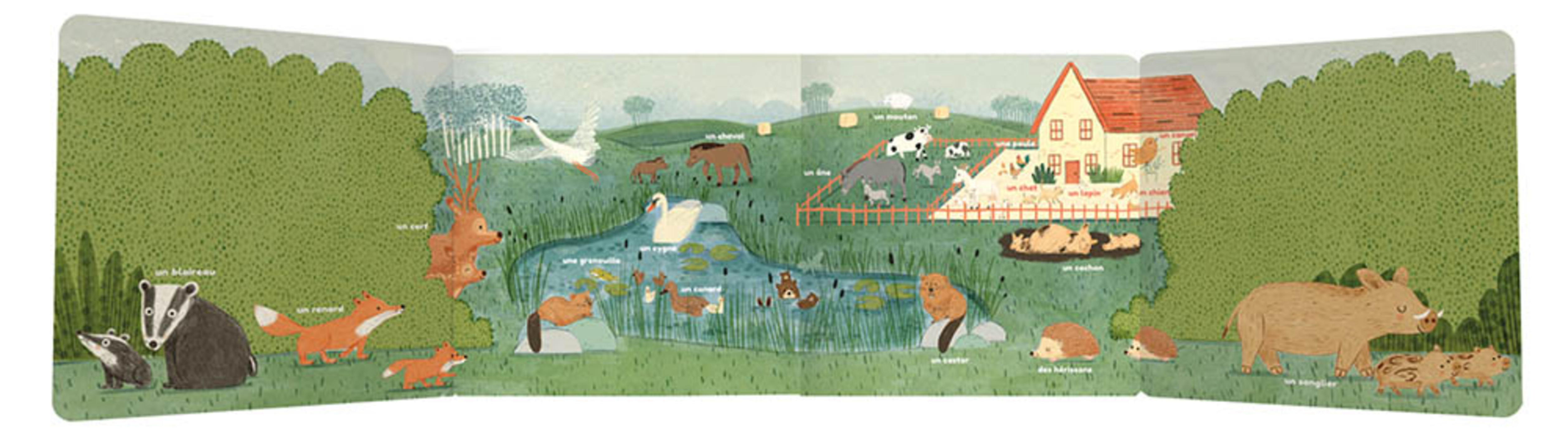 Les Animaux Les Animaux