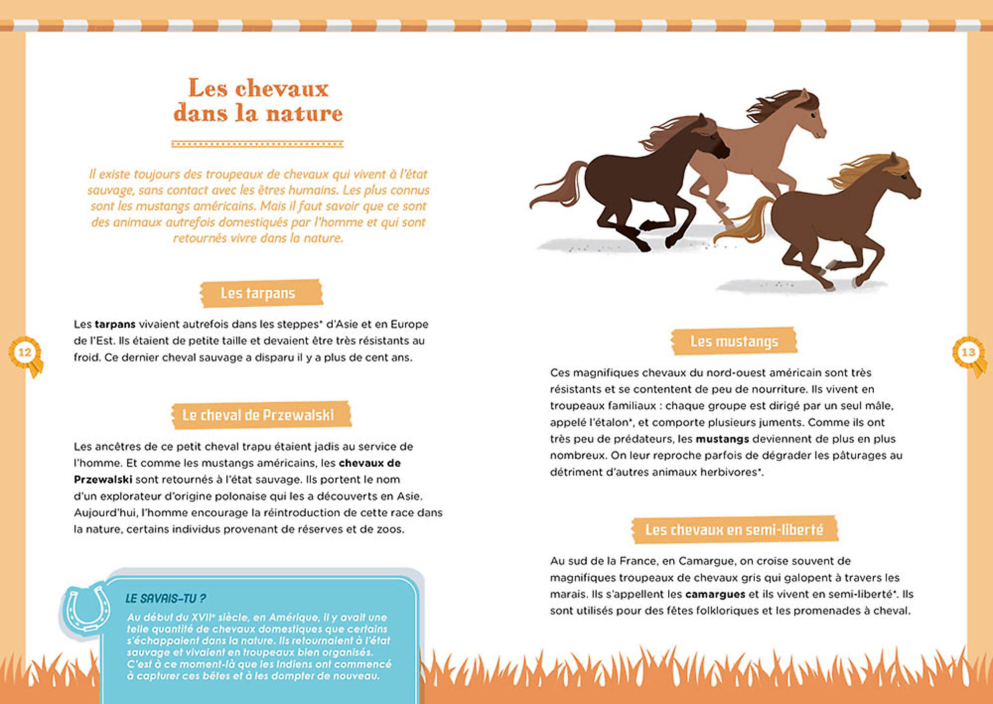 A La Découverte Des Chevaux