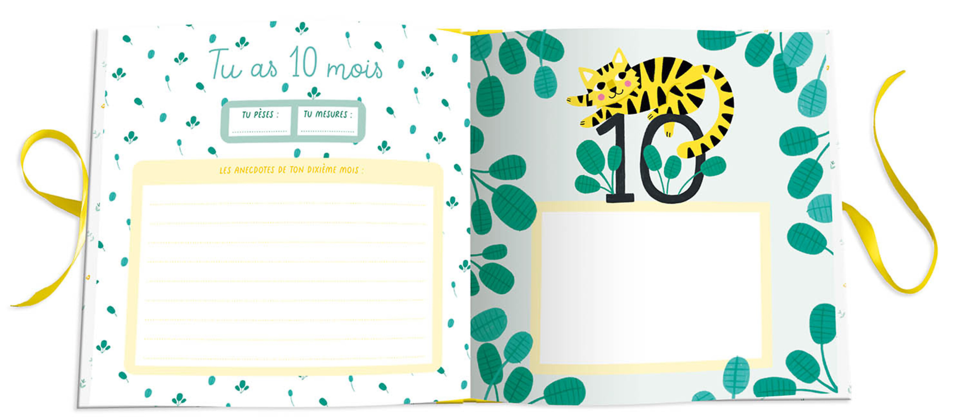 Le Livre De Naissance De Mon Bébé