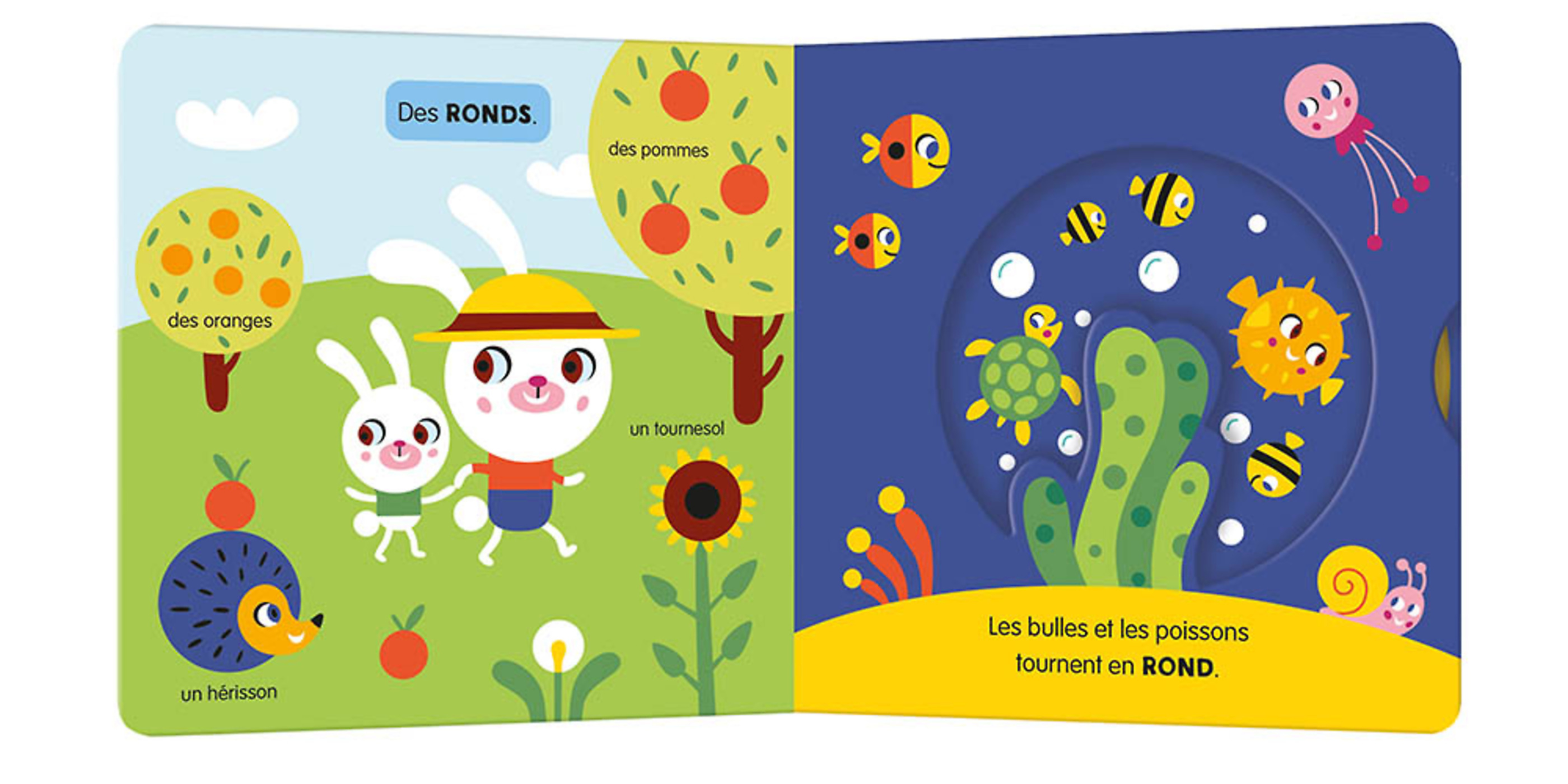 Mon Anim'agier - Les Formes