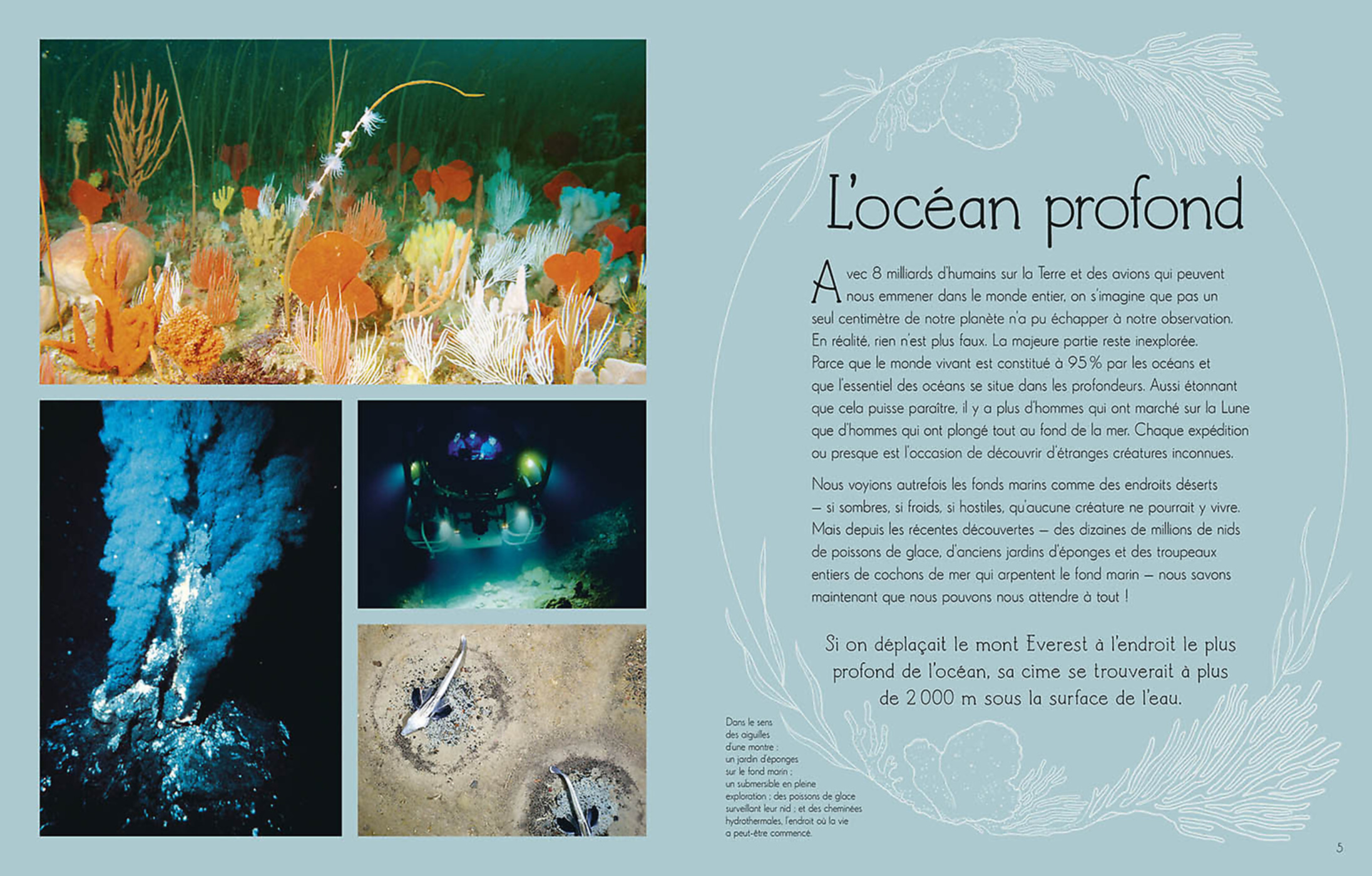 L'anthologie Illustrée Du Monde Aquatique L'anthologie Illustrée Du Monde Aquatique