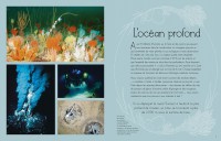 L'anthologie Illustrée Du Monde Aquatique L'anthologie Illustrée Du Monde Aquatique