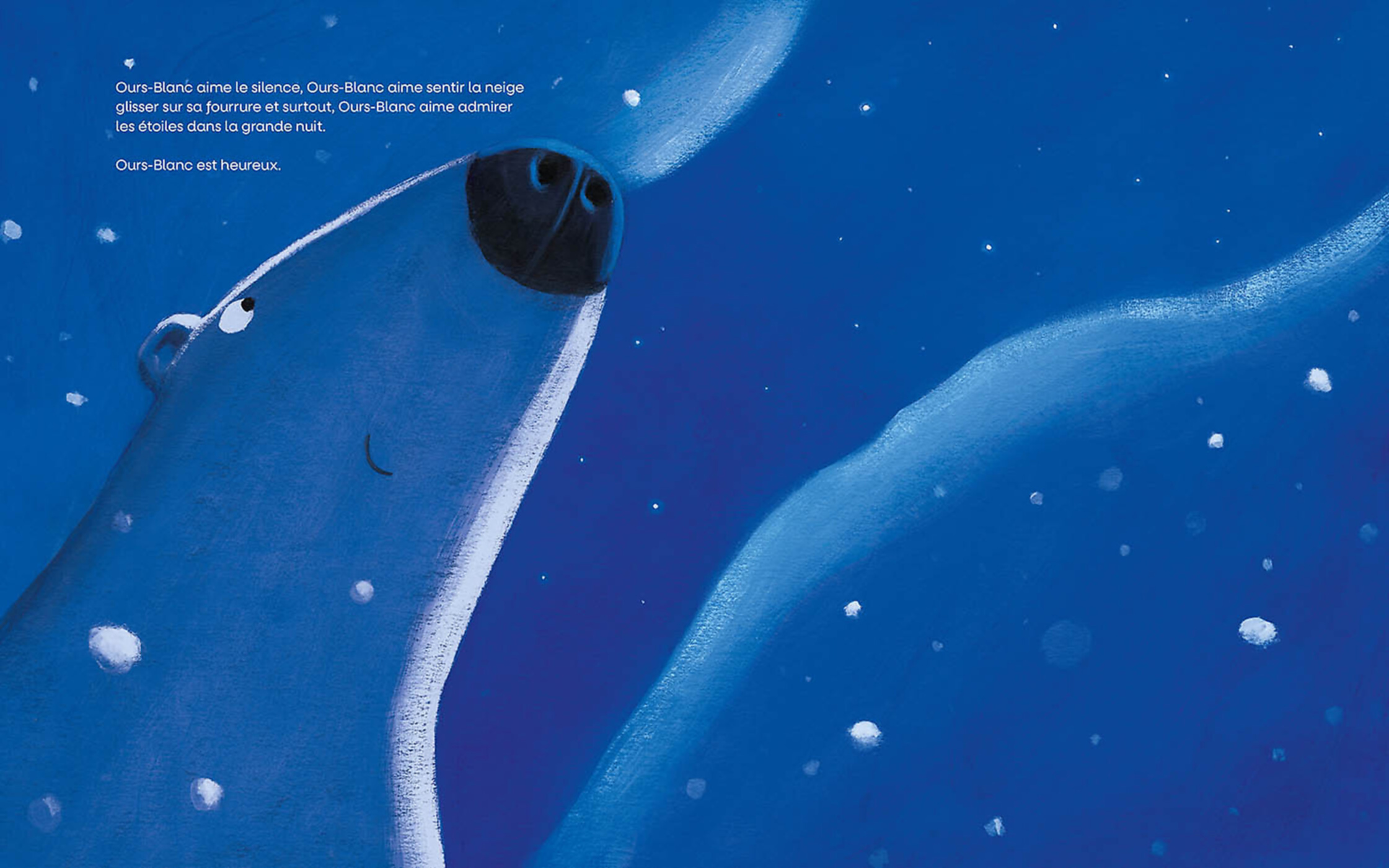 Un Ami Tombé Du Ciel