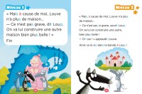 Mes Lectures De 1Re Primaire Avec Loup - Mes Lectures De 1Re Primaire Avec Loup - Edmond Et L'incendie