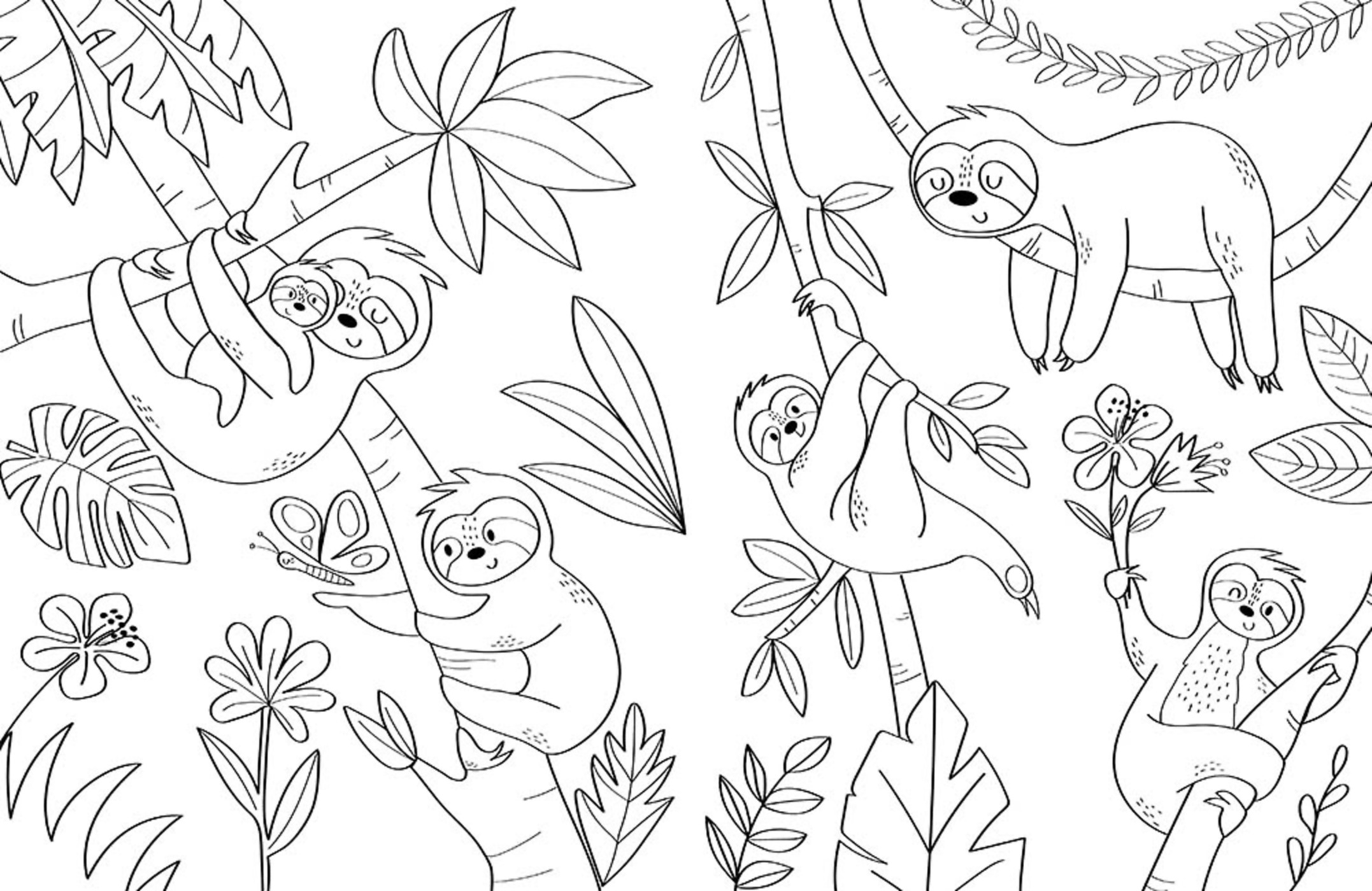 Les Animaux Du Monde Les Animaux Du Monde