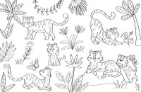 Les Animaux Du Monde Les Animaux Du Monde