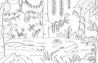 Les Animaux Du Monde