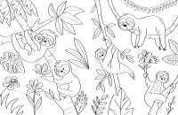 Les Animaux Du Monde