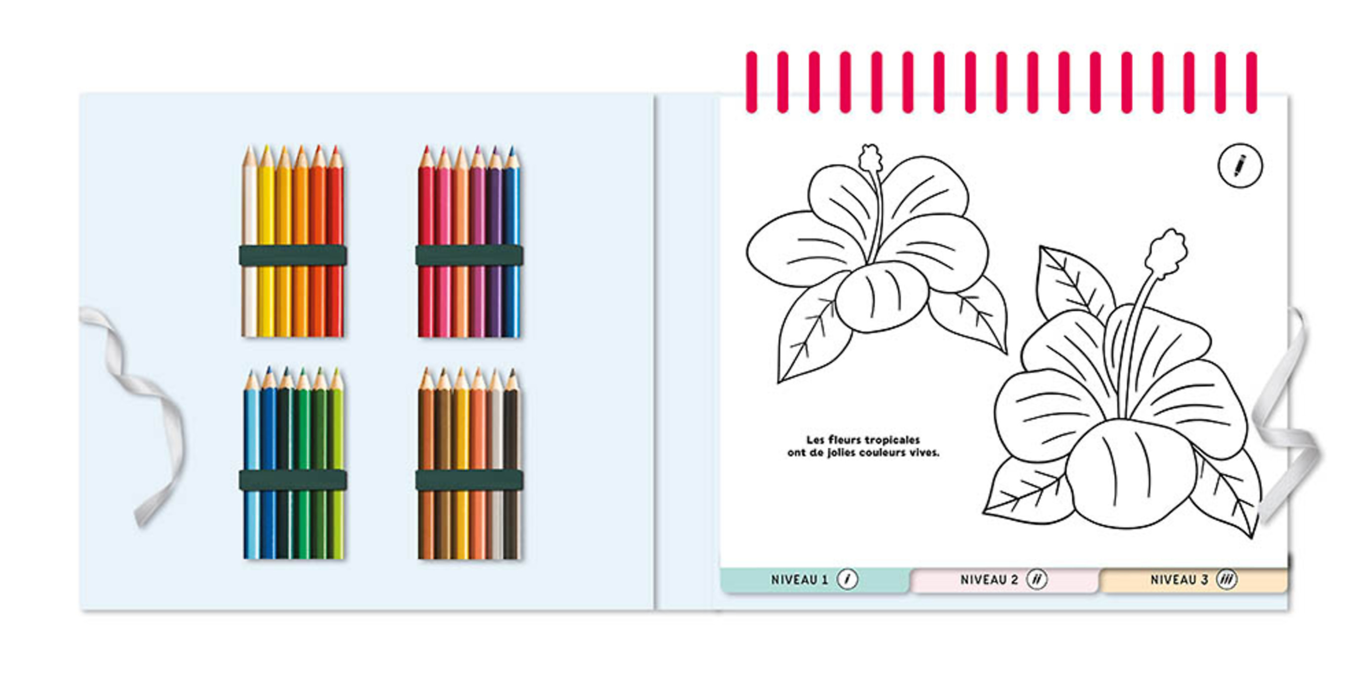 50 Coloriages Relaxants Nature 50 Coloriages Relaxants Nature