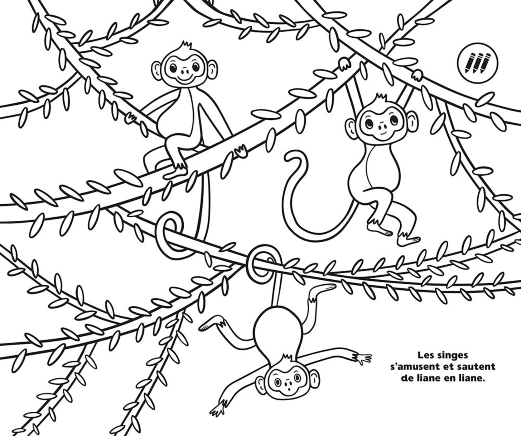 50 Coloriages Relaxants Nature 50 Coloriages Relaxants Nature