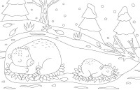 Joli Hiver Joli Hiver