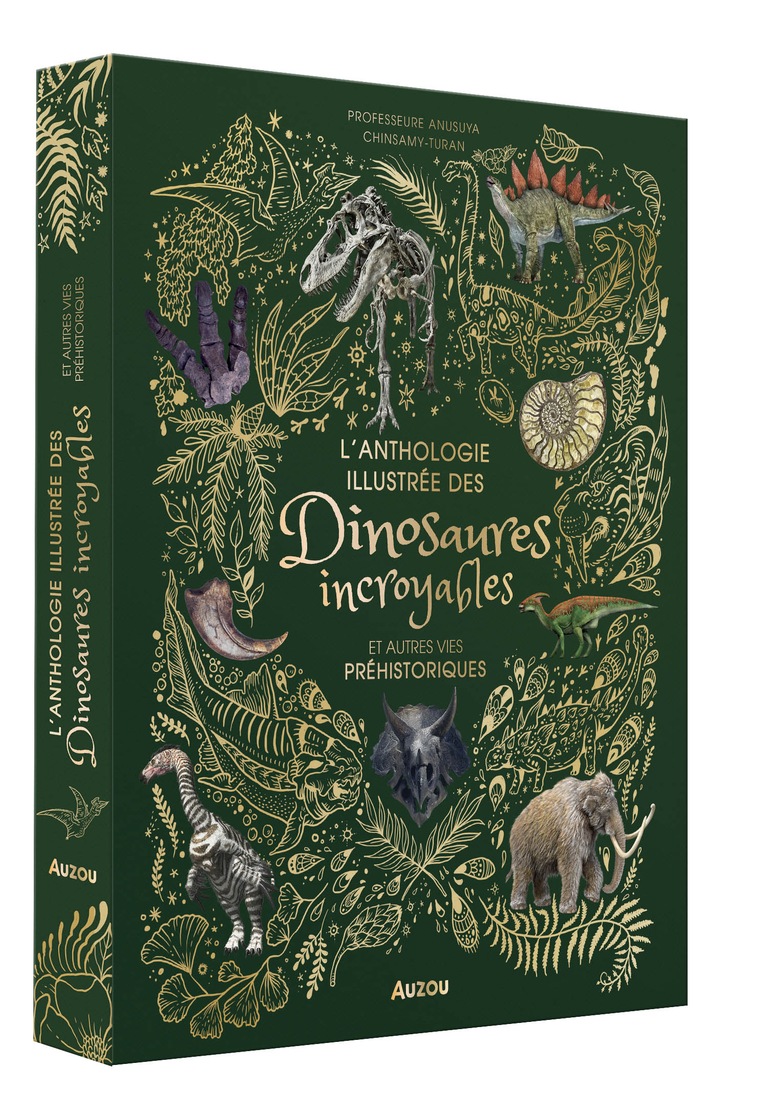 L'anthologie Illustrée Des Dinosaures Incroyables Et Autres Vies Préhistoriques L'anthologie Illustrée Des Dinosaures Incroyables Et Autres Vies Préhistoriques