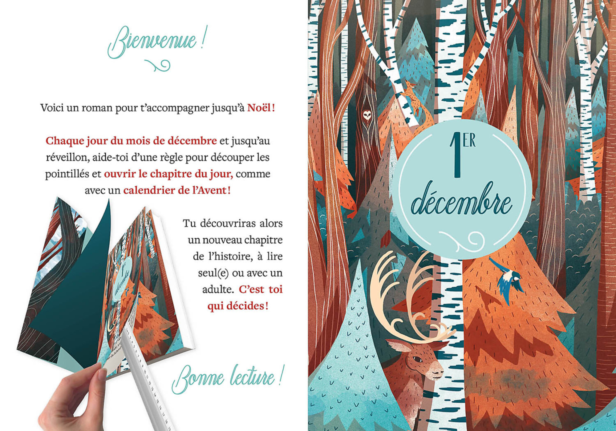 Mon Roman De L'avent - Le Renne Mystérieux Mon Roman De L'avent - Le Renne Mystérieux