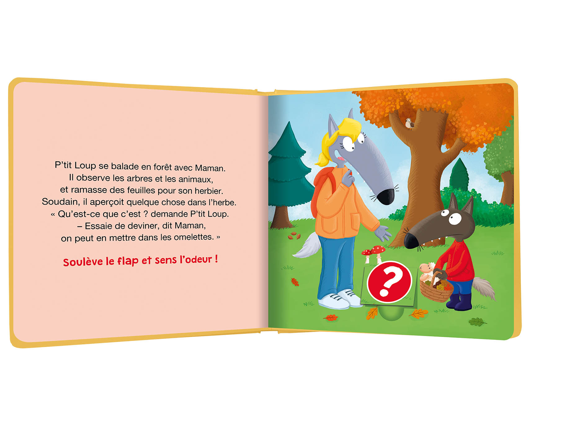 Mon Livre Des Odeurs Et Des Couleurs - P'tit Loup