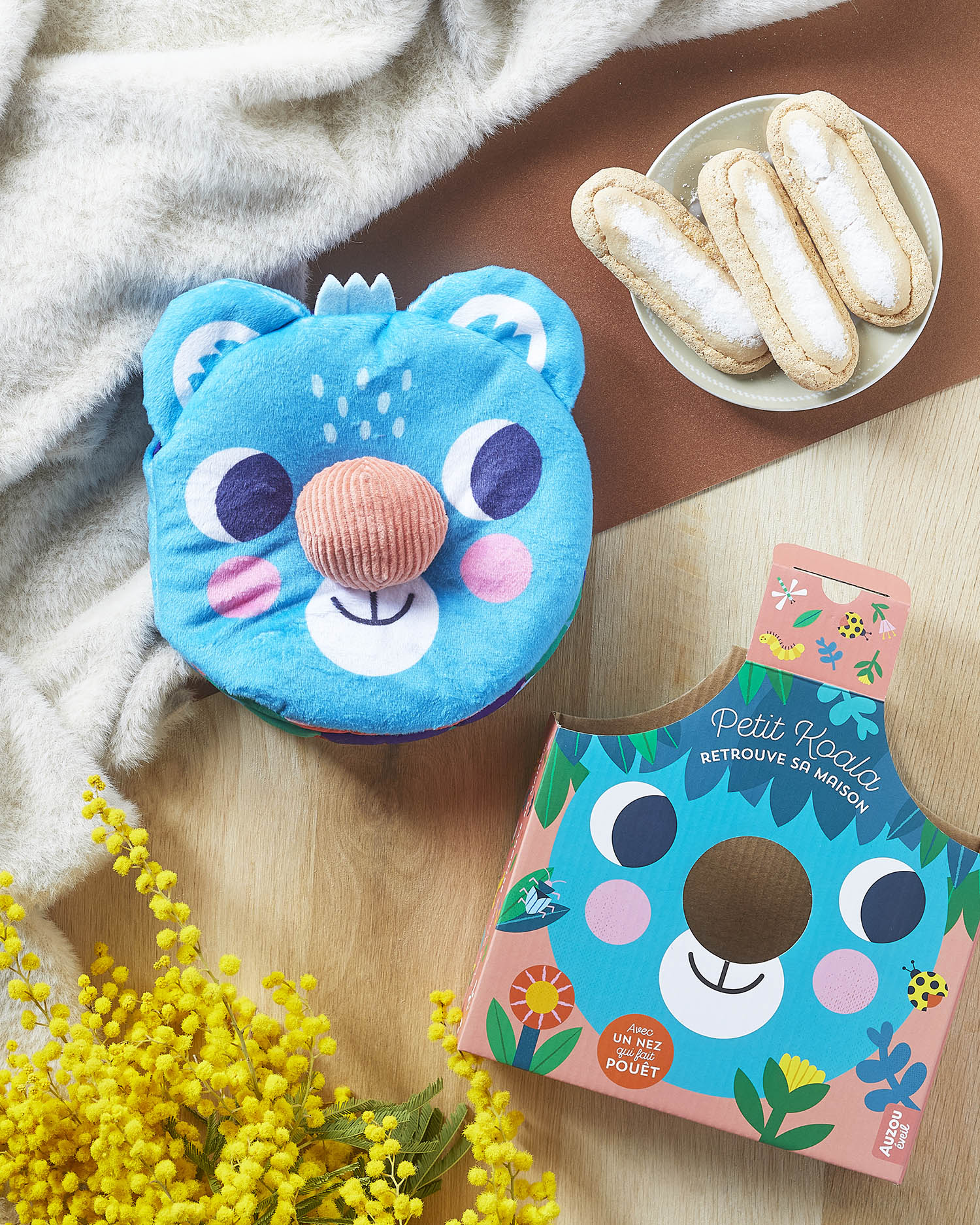 Petit Koala Retrouve Sa Maison