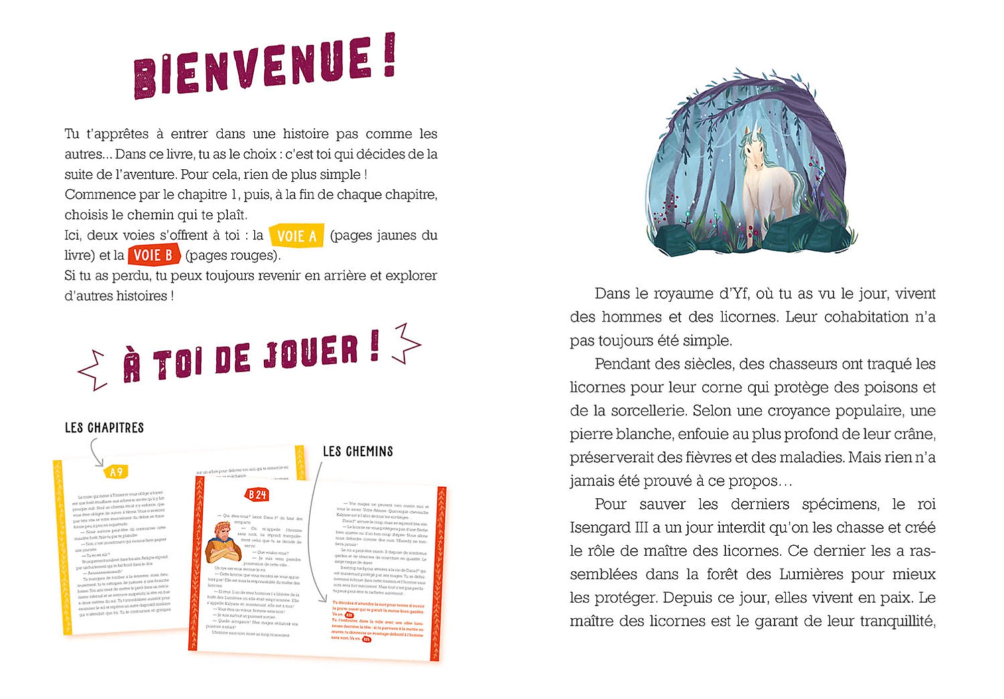 Deviens Le Héros - Le Maître Des Licornes