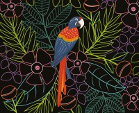 Ma Pochette D'artiste - Mes Cartes À Gratter - Oiseaux Fantastiques Ne