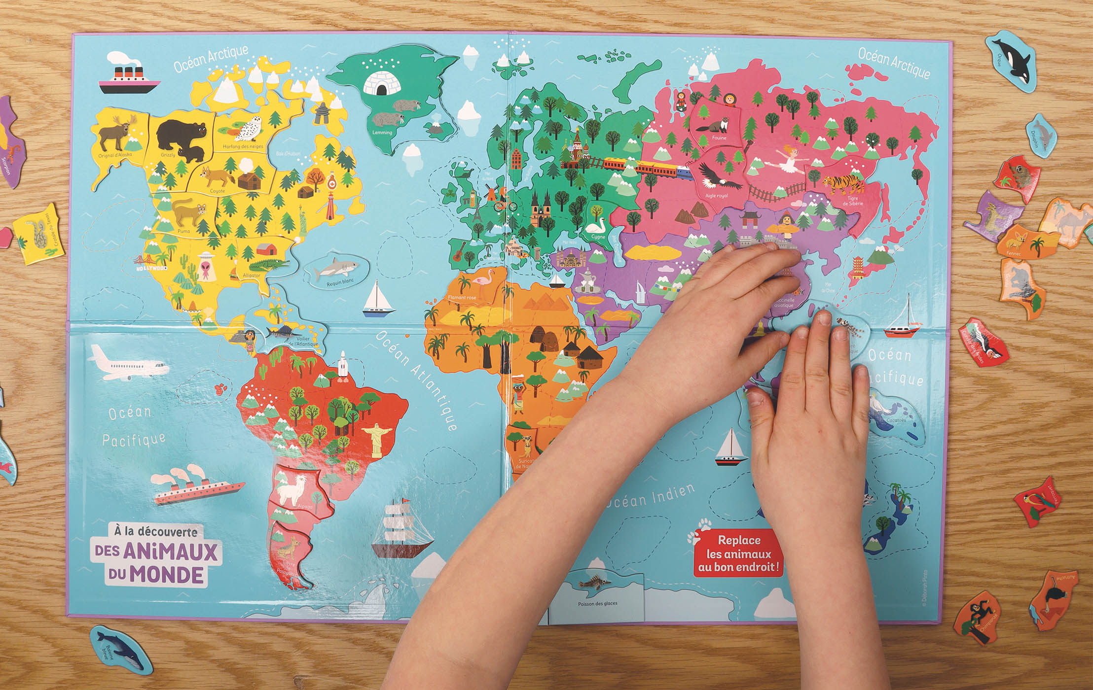 À La Découverte Des Animaux Du Monde À La Découverte Des Animaux Du Monde