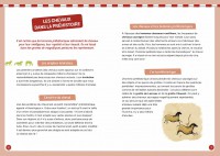 À La Découverte Des Chevaux