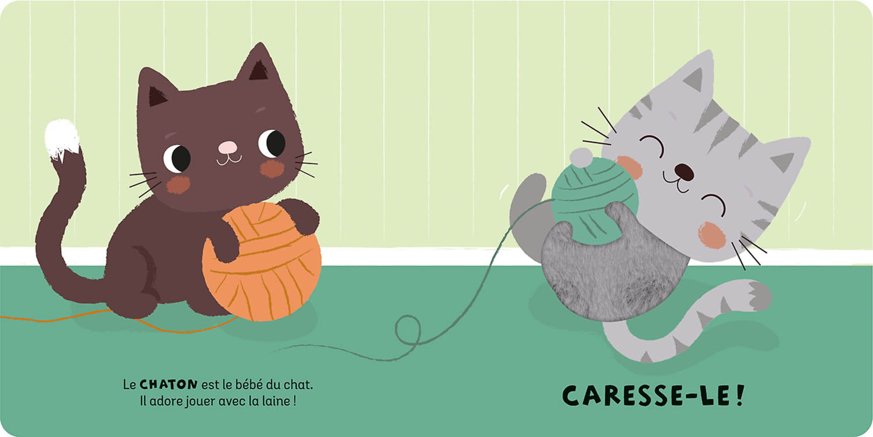 Les Bébés Animaux Les Bébés Animaux