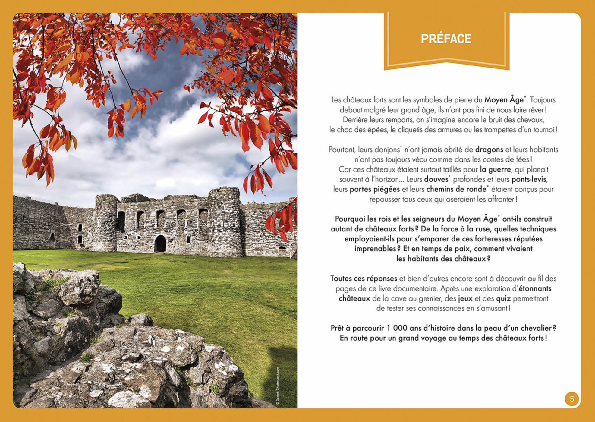 À La Découverte Des Châteaux Forts À La Découverte Des Châteaux Forts