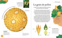 L'anthologie Insolite Des Trésors De La Nature : Roches, Nids, Plumes Et Autres Merveille S L'anthologie Insolite Des Trésors De La Nature : Roches, Nids, Plumes Et Autres Merveille S